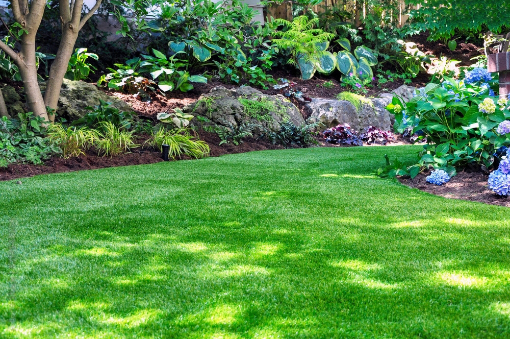 Lawncare and Landscaping Services, Landscape Services